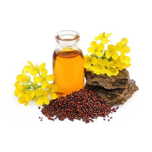 Mustard oil storage and shelf-life guide