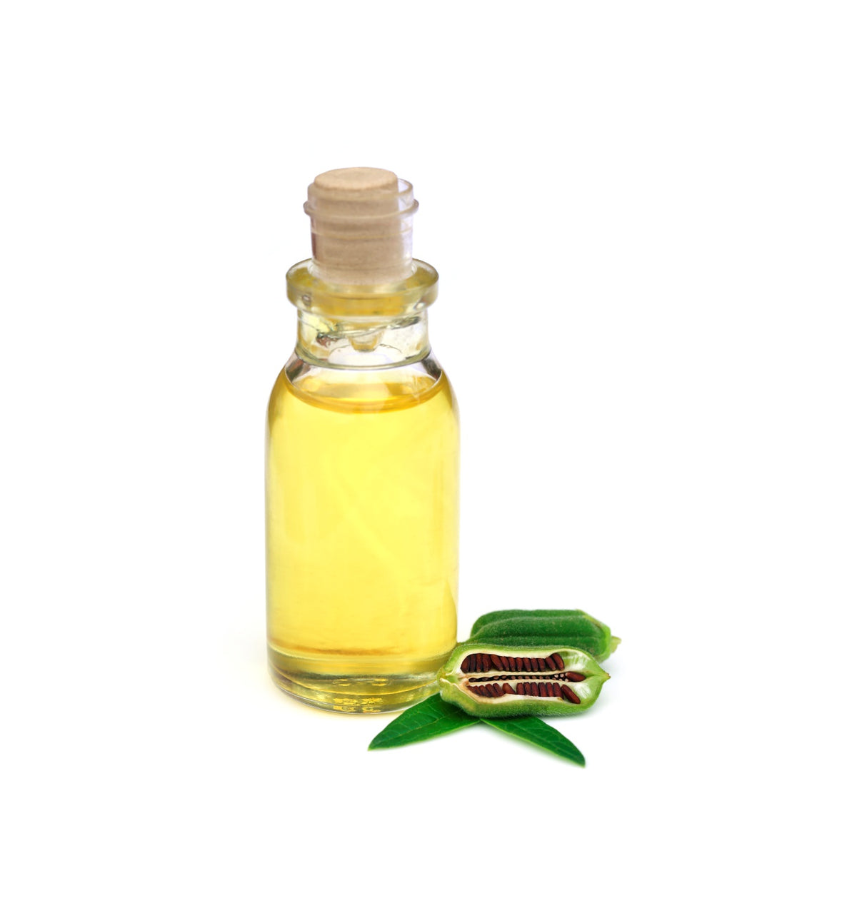 Turpentine oil bulk supply by Ashoka Oil Industries