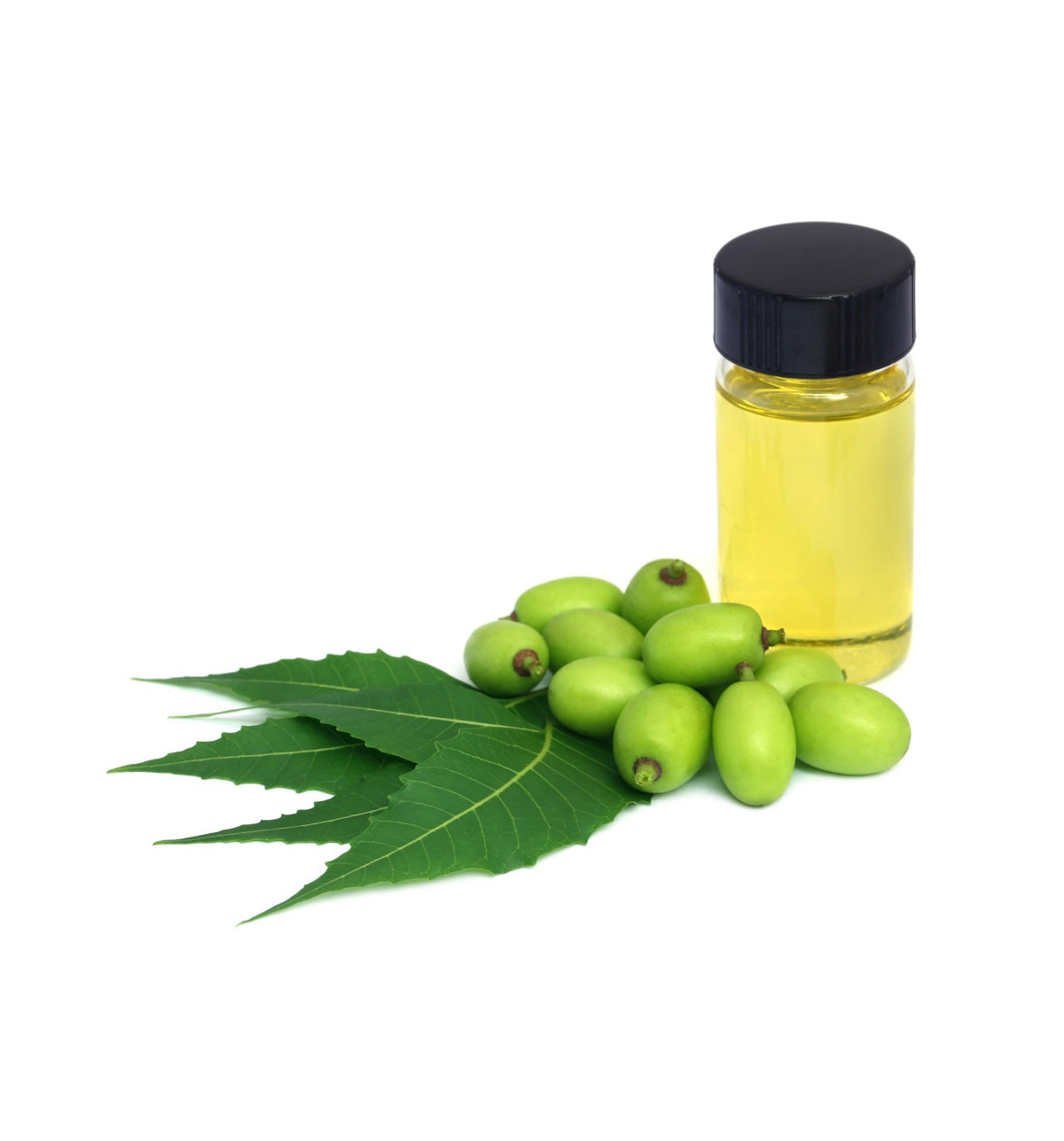 Neem oil bulk supply by Ashoka Oil Industries