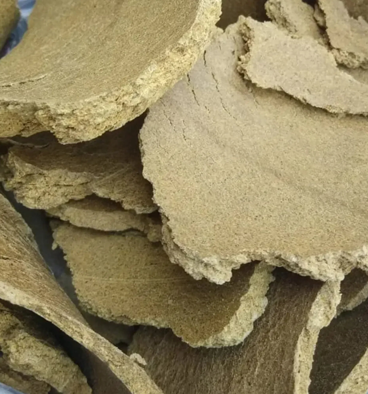 Yellow mustard oil cake for bulk supply