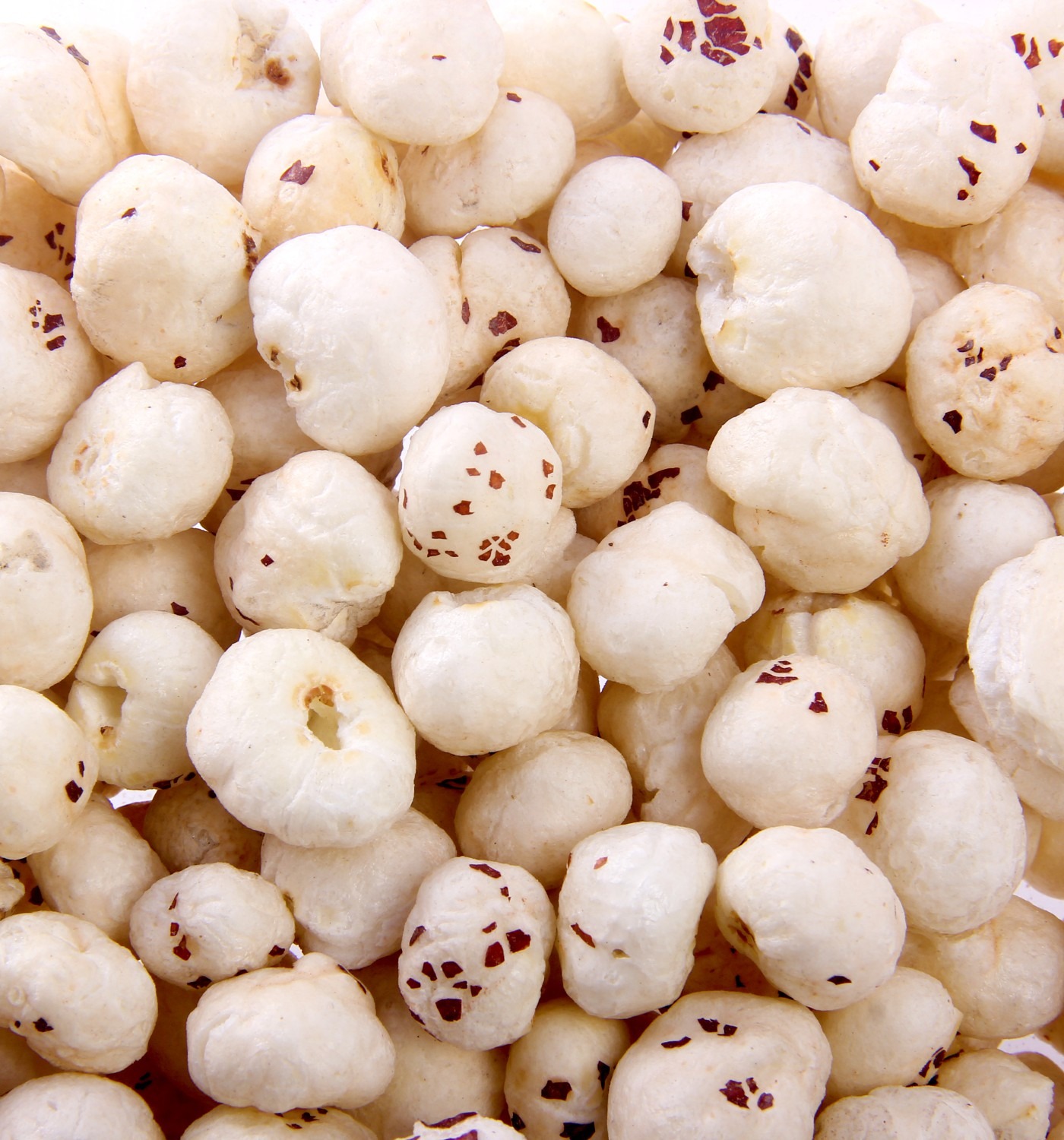 Netaji Fox Nuts