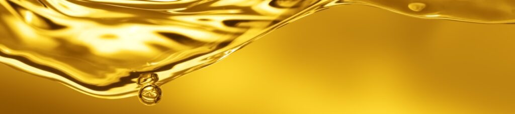 Ashoka Oil Industries