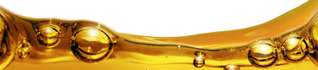 Ashoka Oil Industries