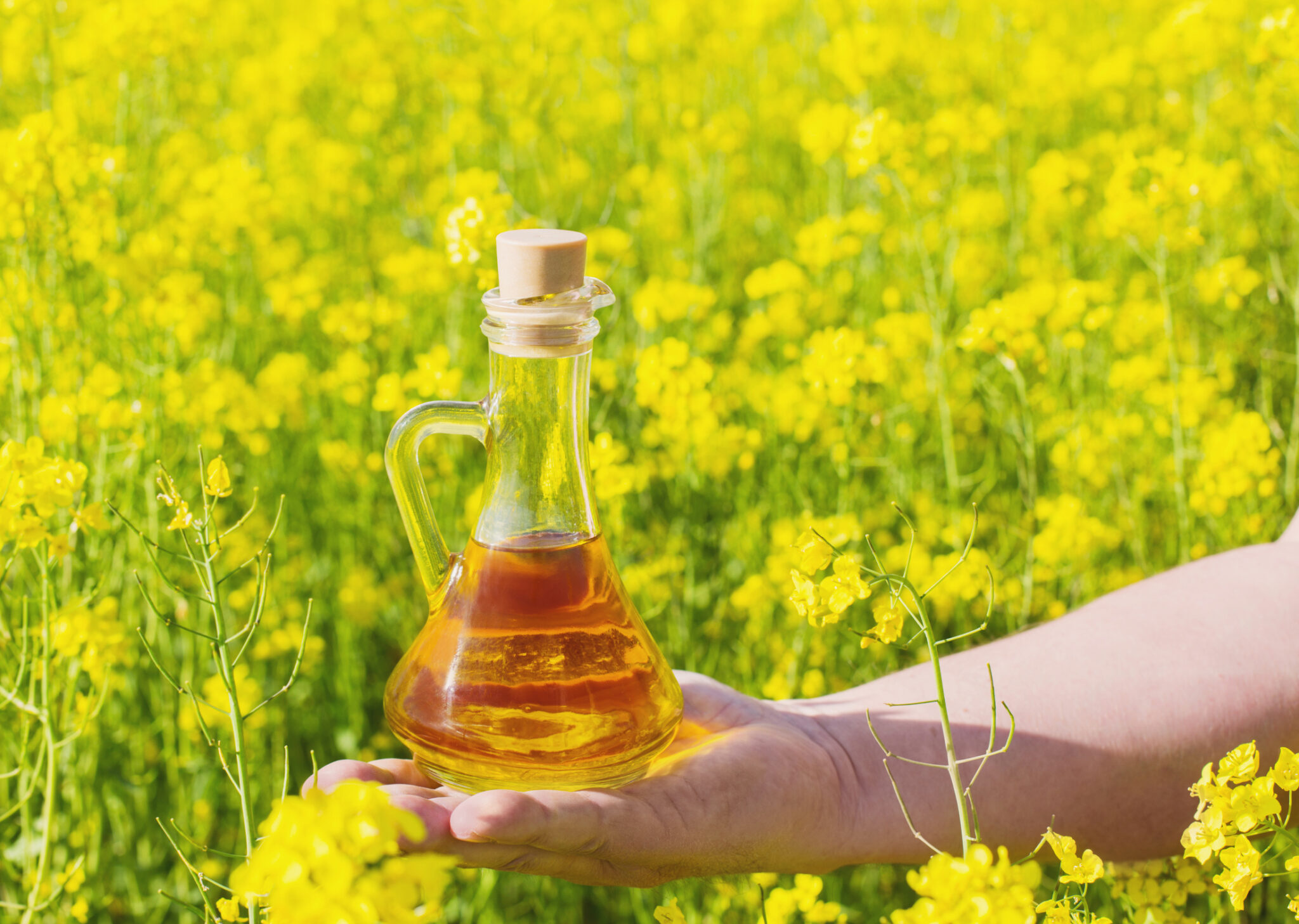 How Yellow Mustard Seed Oil from Ashok Oil Industries Elevates Your ...